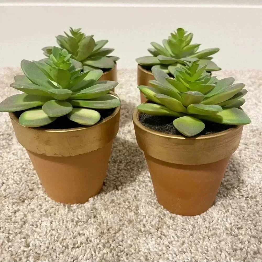 Set of 3 terracotta faux succulents new